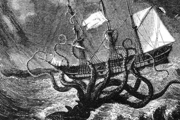 Kraken20 at