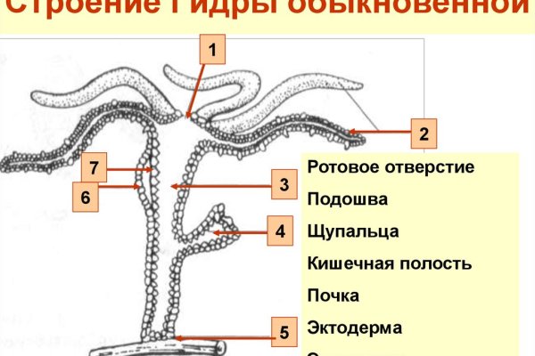 Кракен вывод средств