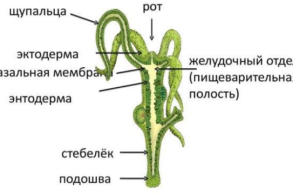 Кракен основная ссылка onion