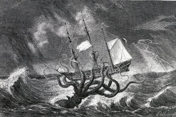 Kraken kraken link24 info